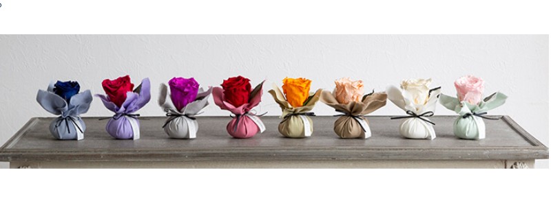 ��l�����t�����[�M�t�g�V���b�v�ynoemie�z���T�C�g